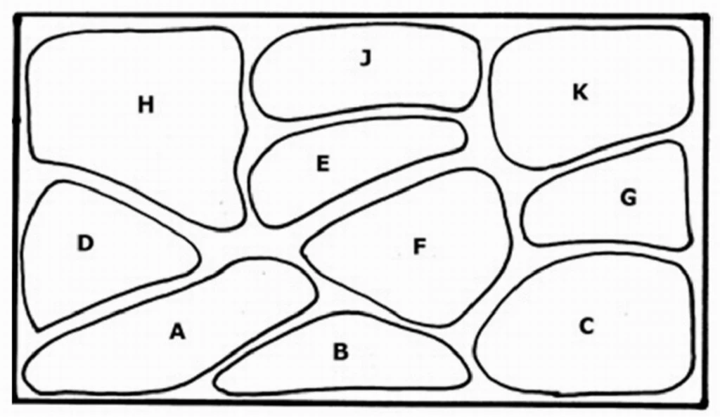 Unterwasser-Landschaft Holland-Aquarium Für Ein 160 Liter Aquarium 4 Unterwasser-Landschaft Holland-Aquarium Für Ein 160 Liter Aquarium – Bild 2