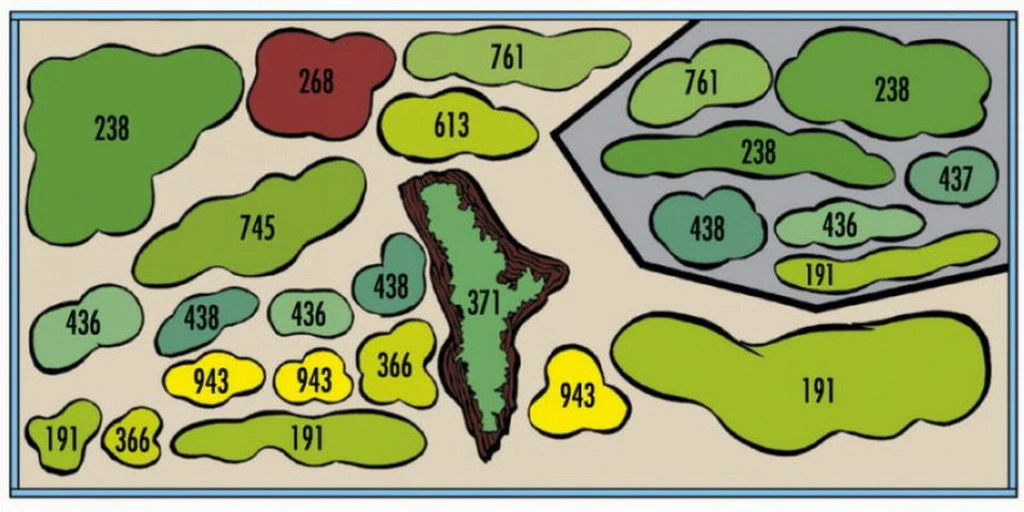 Holland-Aquarium - Pflanzenlandschaft Für Ein 160-200 Liter Aquarium 4 Holland-Aquarium - Pflanzenlandschaft Für Ein 160-200 Liter Aquarium – Bild 2