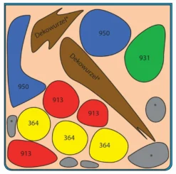 In-Vitro Ludwigia Cube 30 Liter - Pflanzenlandschaft Für Einen 30 Liter Nano Cube 5 In-Vitro Ludwigia Cube 30 Liter - Pflanzenlandschaft Für Einen 30 Liter Nano Cube -Hobby || DENNERLE || Flamingo Verkäufe S9143DE 1 2 1