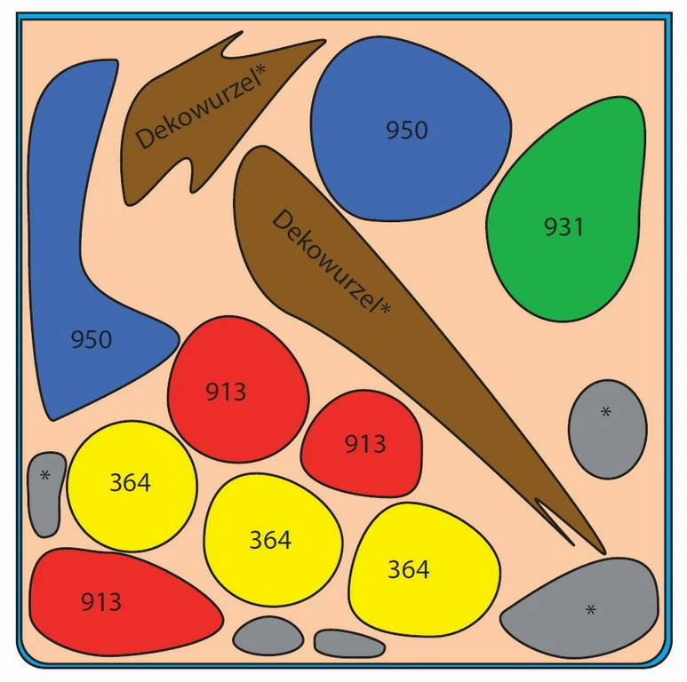 In-Vitro Ludwigia Cube 30 Liter - Pflanzenlandschaft Für Einen 30 Liter Nano Cube 4 In-Vitro Ludwigia Cube 30 Liter - Pflanzenlandschaft Für Einen 30 Liter Nano Cube – Bild 2