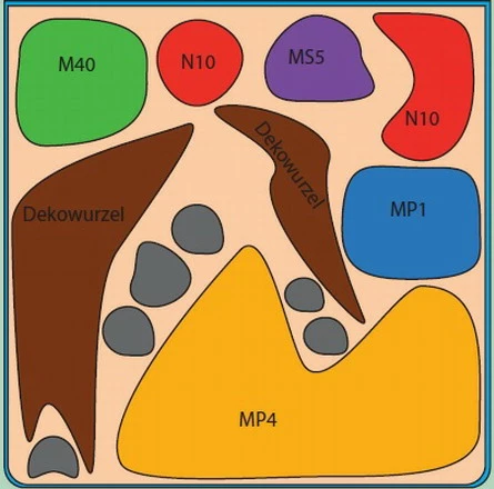 In-Vitro Riccardia Cube 30 Liter - Pflanzenlandschaft Für Einen 30 Liter Nano Cube 4 In-Vitro Riccardia Cube 30 Liter - Pflanzenlandschaft Für Einen 30 Liter Nano Cube – Bild 2