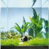 Java Paradise 30 Liter - Pflanzenlandschaft Für Einen 30 Liter Nano Cube -Hobby || DENNERLE || Flamingo Verkäufe S9186DE 1 1