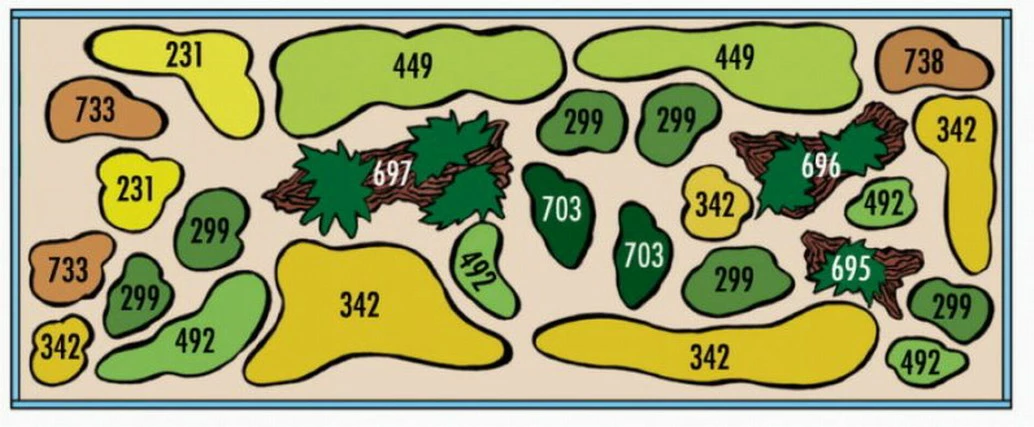 Mbuna-Wäldchen - Pflanzenlandschaft Für Ein 160-200 Liter Aquarium 4 Mbuna-Wäldchen - Pflanzenlandschaft Für Ein 160-200 Liter Aquarium – Bild 2
