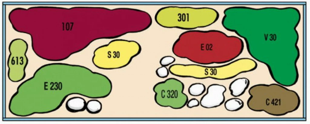 Kupfer Salmler - Pflanzenlandschaft Für Ein 160-200 Liter Aquarium 4 Kupfer Salmler - Pflanzenlandschaft Für Ein 160-200 Liter Aquarium – Bild 2