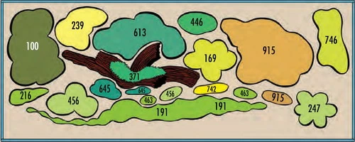 Rotmäulchen-Bucht - Pflanzenlandschaft Für Ein 160-200 Liter Aquarium 4 Rotmäulchen-Bucht - Pflanzenlandschaft Für Ein 160-200 Liter Aquarium – Bild 2