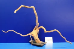 XXL Rote Moorwurzel / Moorkienholz 48x25x23 Traumwurzel #1280 Auf Schiefer