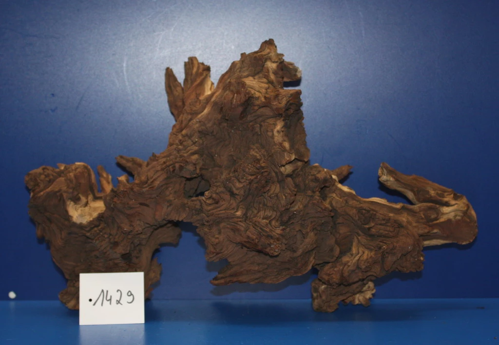 Zweifarbige Traumwurzel #1429 Eisenholz/Mopani-Wurzel 42x25x13 3 Zweifarbige Traumwurzel #1429 Eisenholz/Mopani-Wurzel 42x25x13