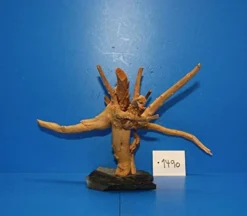 XL Rote Moorwurzel / Moorkienholz 28x19x23 Traumwurzel #1490 Auf Schiefer