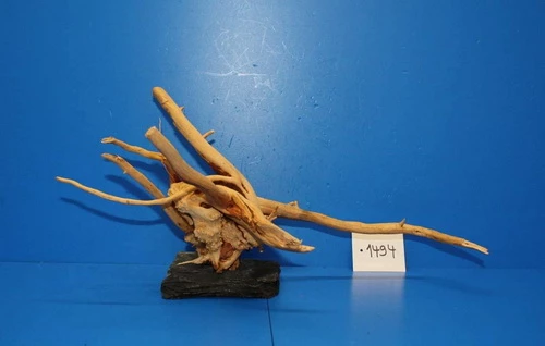 XL Rote Moorwurzel / Moorkienholz 38x19x24 Traumwurzel #1494 Auf Schiefer 3 XL Rote Moorwurzel / Moorkienholz 38x19x24 Traumwurzel #1494 Auf Schiefer