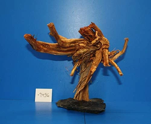 XL Rote Moorwurzel / Moorkienholz 30x25x25 Traumwurzel #1496 Auf Schiefer 3 XL Rote Moorwurzel / Moorkienholz 30x25x25 Traumwurzel #1496 Auf Schiefer