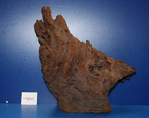 XL Mangroven-Wurzel 36x36x23 Unikat - Traumwurzel #1541 3 XL Mangroven-Wurzel 36x36x23 Unikat - Traumwurzel #1541