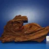 XL Mangroven-Wurzel 40x23x17 Unikat - Traumwurzel #1550 1 XL Mangroven-Wurzel 40x23x17 Unikat - Traumwurzel #1550 -Hobby || DENNERLE || Flamingo Verkäufe W1550 1