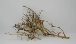 XL Thailand Zweig / Wurzel 38x22x16 Traumwurzel #1579