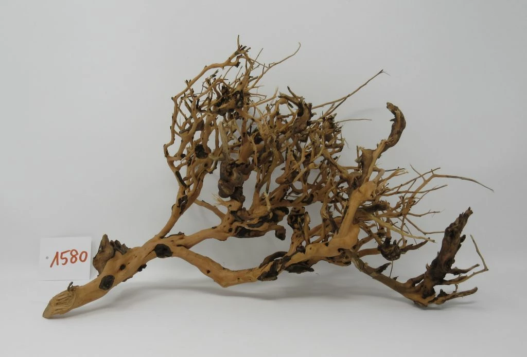 XL Thailand Zweig / Wurzel 39x25x18 Traumwurzel #1580 3 XL Thailand Zweig / Wurzel 39x25x18 Traumwurzel #1580