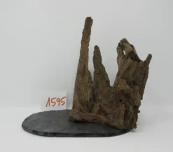 XL Scaper Wurzel 22x20x15 Traumwurzel #1595 Auf Schiefer