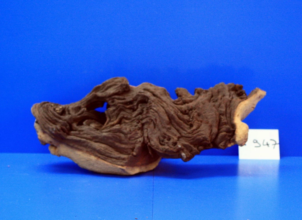 Zweifarbige Traumwurzel #947 Eisenholz/Mopani-Wurzel 31x13x18 2 Zweifarbige Traumwurzel #947 Eisenholz/Mopani-Wurzel 31x13x18