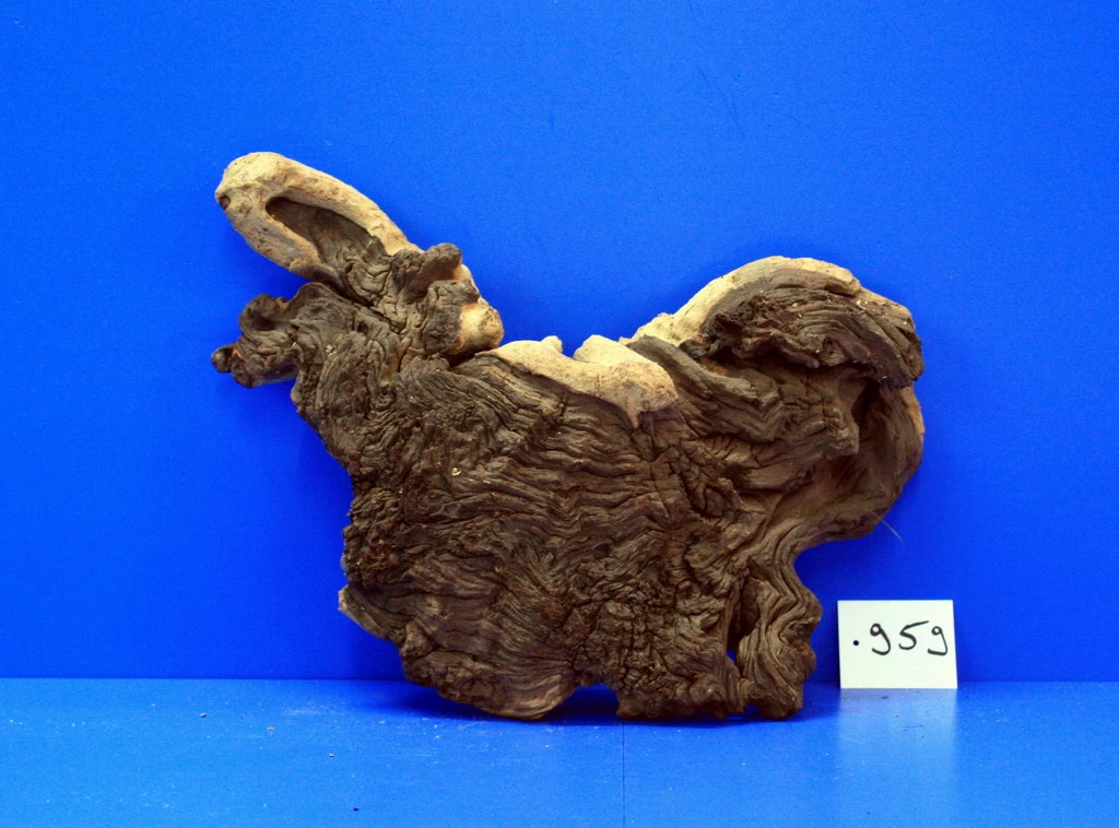 Zweifarbige Traumwurzel #959 Eisenholz/Mopani-Wurzel 34x26x13 3 Zweifarbige Traumwurzel #959 Eisenholz/Mopani-Wurzel 34x26x13