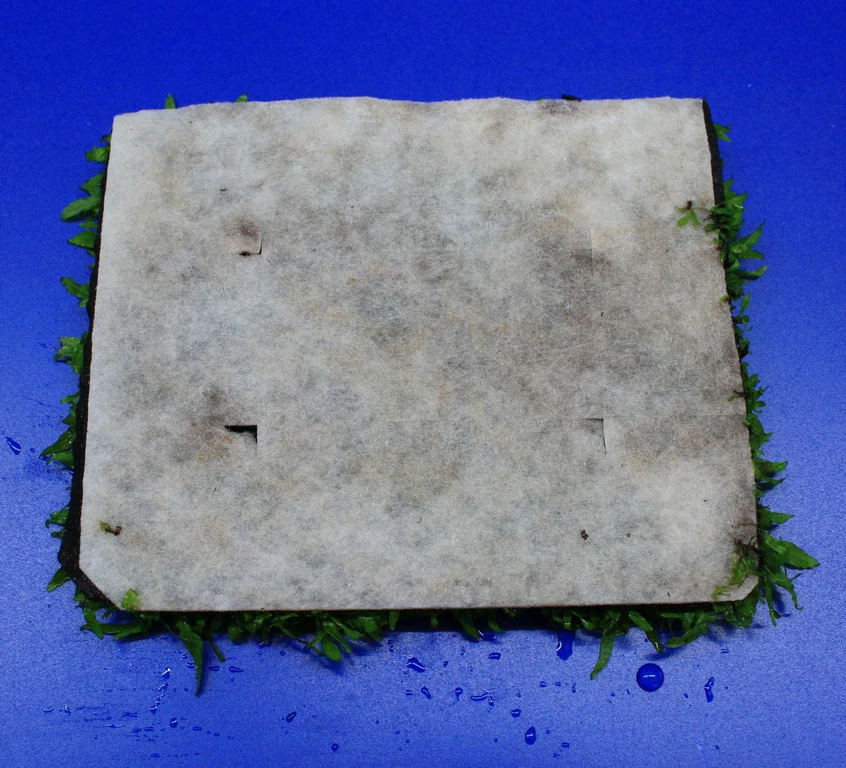 Green-Wall XL Javafarn / Microsorum Pteropus Auf Matte Ca. 170x140 Mm 6 Green-Wall XL Javafarn / Microsorum Pteropus Auf Matte Ca. 170x140 Mm – Bild 4