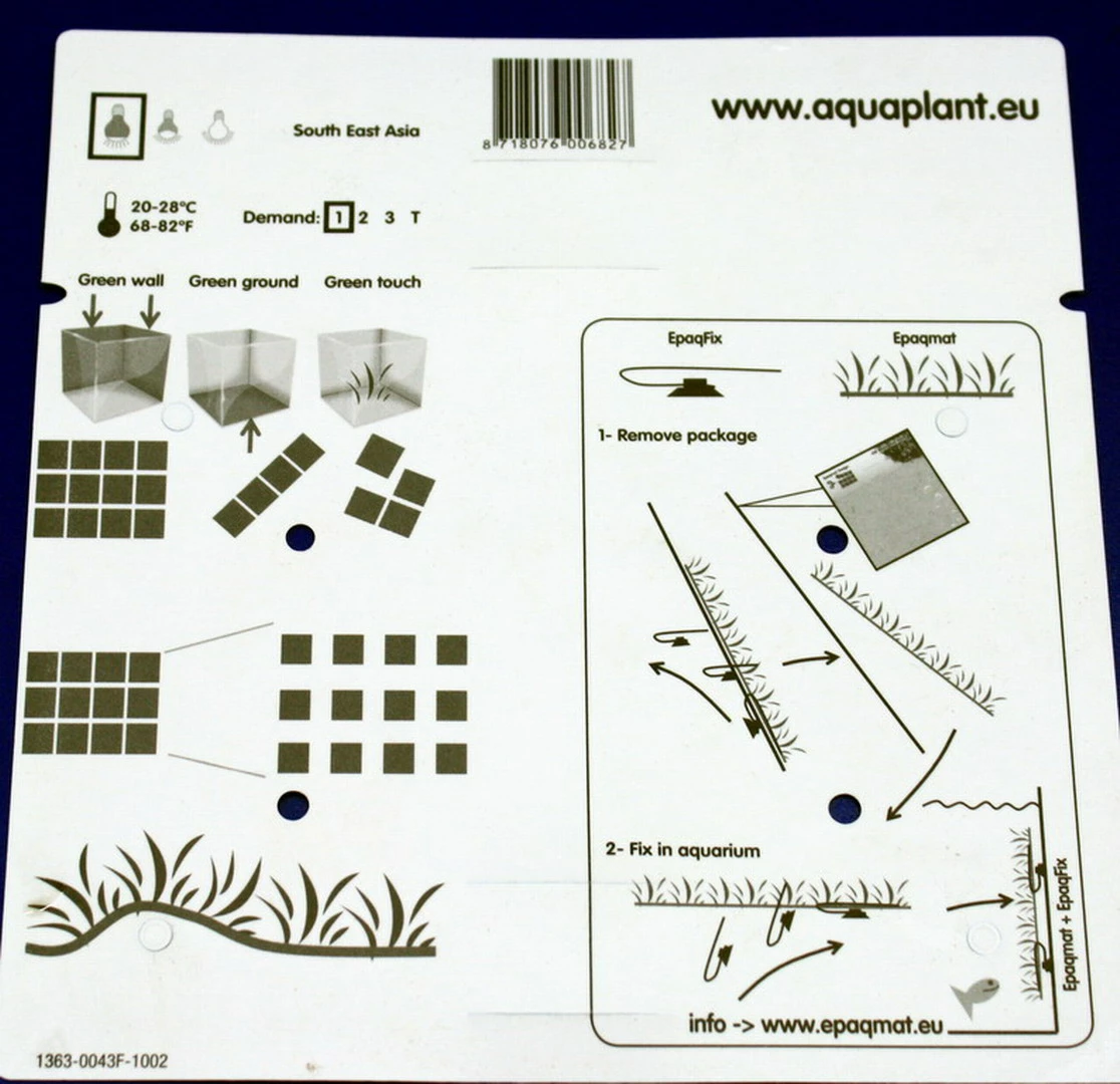 Green-Wall XL Gekräuseltes Javafarn / Microsorum Pt. Windelov Auf Matte Ca. 170x140 Mm 7 Green-Wall XL Gekräuseltes Javafarn / Microsorum Pt. Windelov Auf Matte Ca. 170x140 Mm – Bild 5